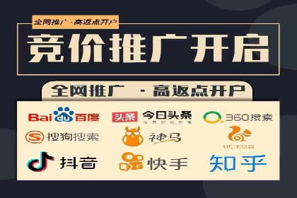 电商平台信息流广告的创意与执行案例分析
